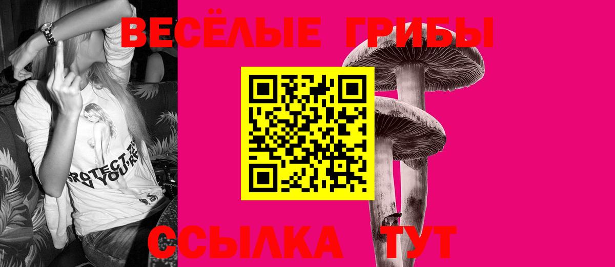 Псилоцибиновые грибы Magic Shrooms Кингисепп